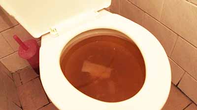 Westgate blocked toilet