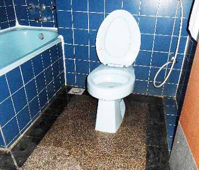 Solplaatjie Village leaking toilet